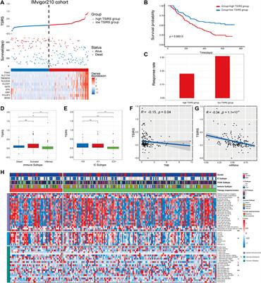 Integration of cancer stemness and neoantigen load to predict responsiveness to anti-PD1/PDL1 therapy